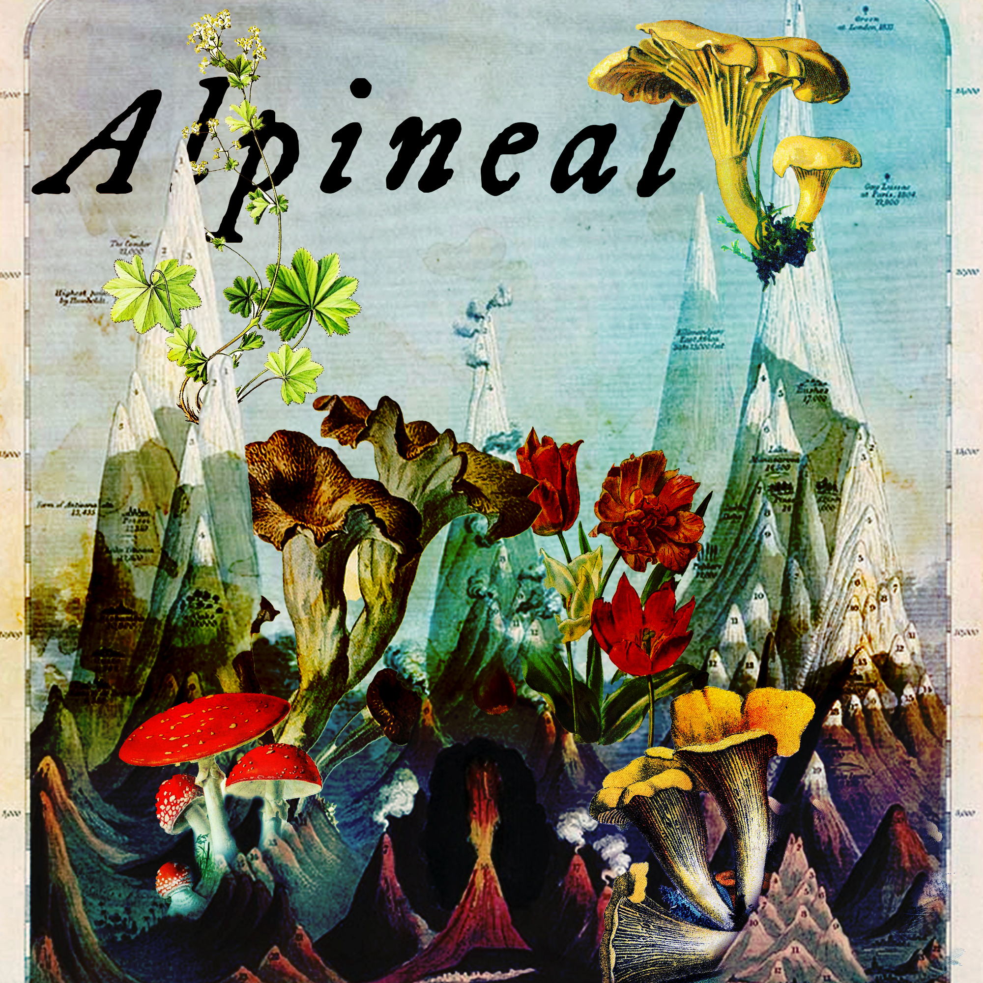 Alpineal