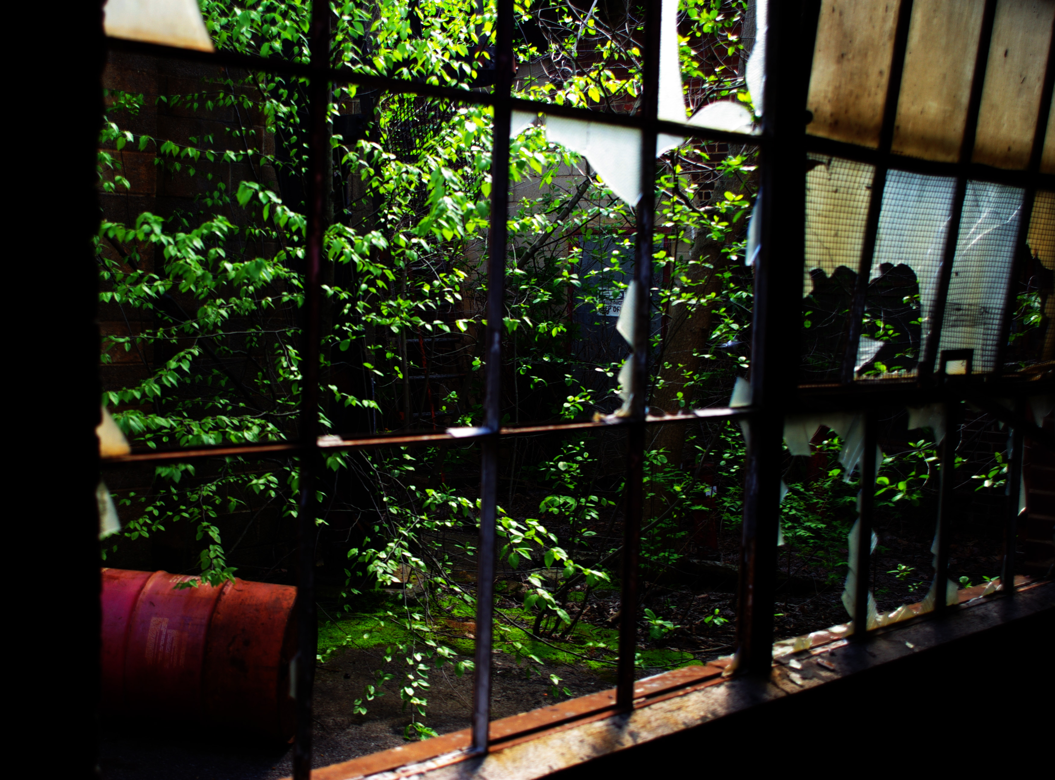 Untitled abandoned architecture photograph