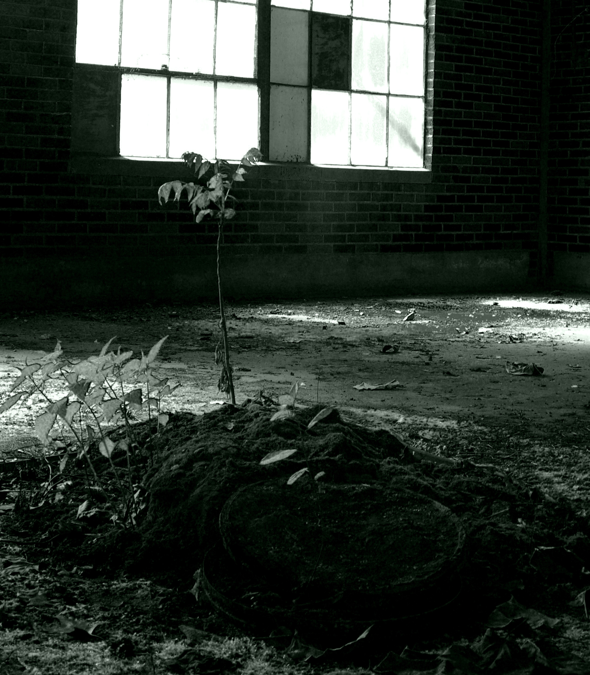 Untitled abandoned architecture photograph