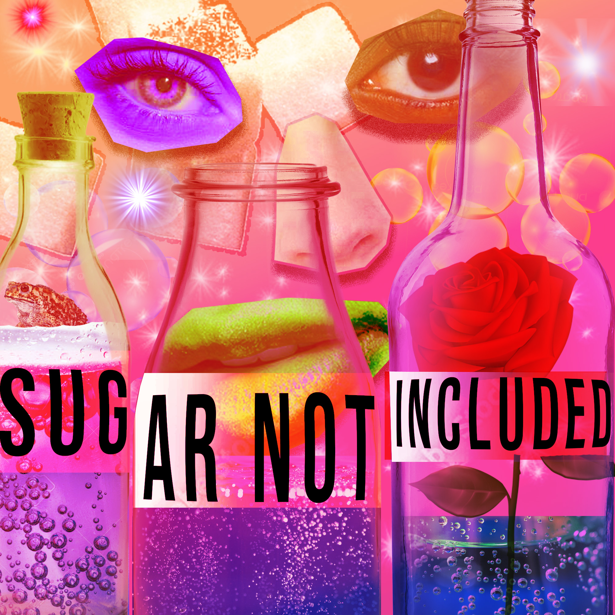 Sugar Not Included
